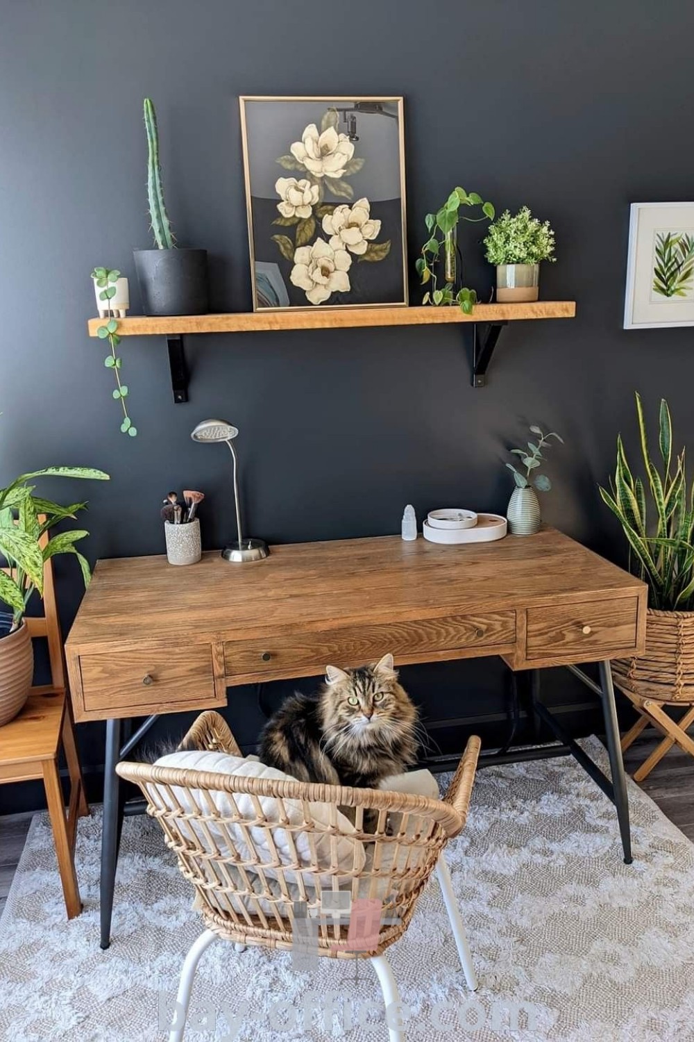 Cozy office space with a cat under a desk, potted plants on the wall, showcasing earthy office decor and greenery, ideal for boosting productivity. Discover inspiring decor ideas for small spaces at bay-office.com.