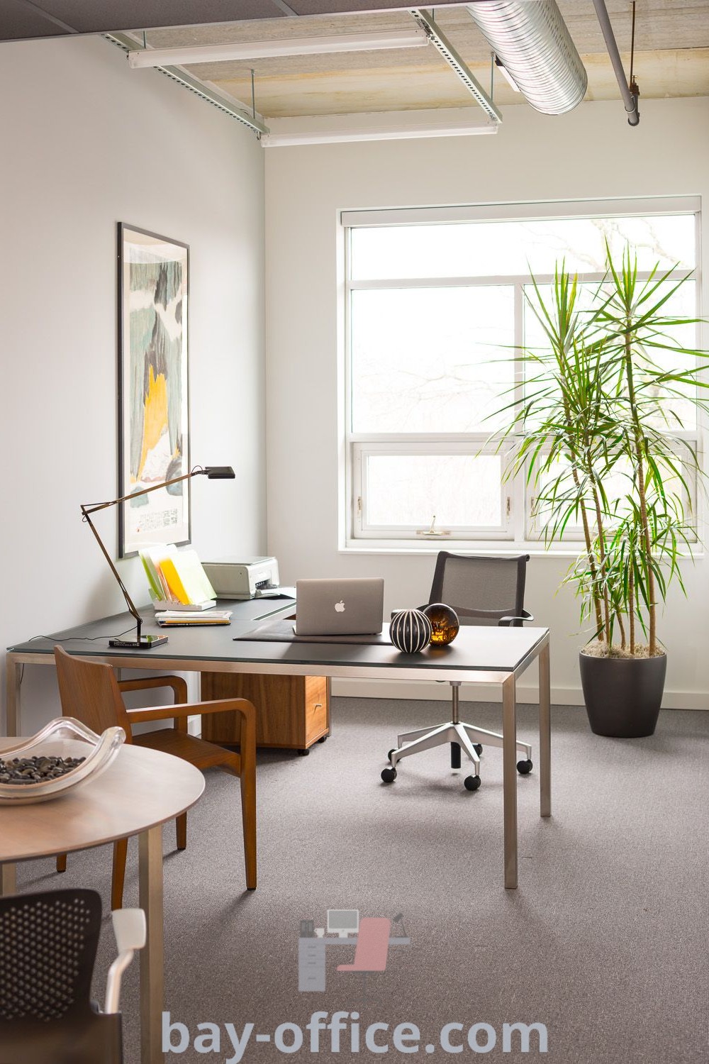 Dietitian office design featuring a desk, chair, and potted plant in front of the window. This inspiring setup is perfect for creating a cozy work environment with ideas that will make you love working from home. For more design tips, visit bay-office.com.