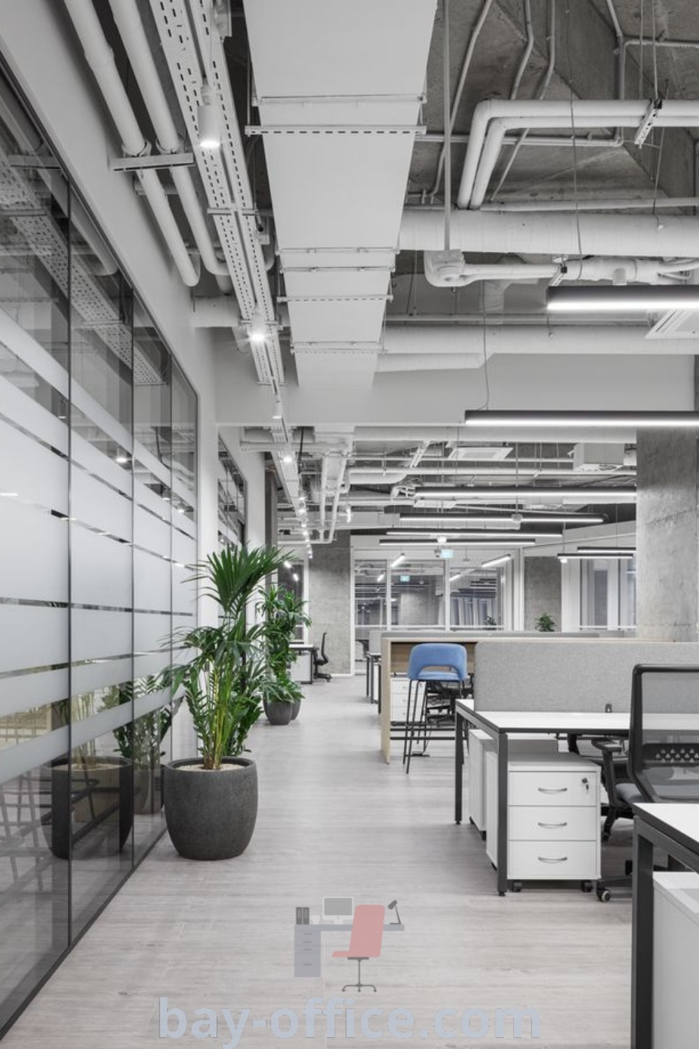 Contemporary office interior design featuring desks, chairs, and plants in grey and white colors. Perfect for inspiring productivity, creating a cozy aesthetic, and enhancing your workspace. Explore more inspiring decor ideas at bay-office.com.