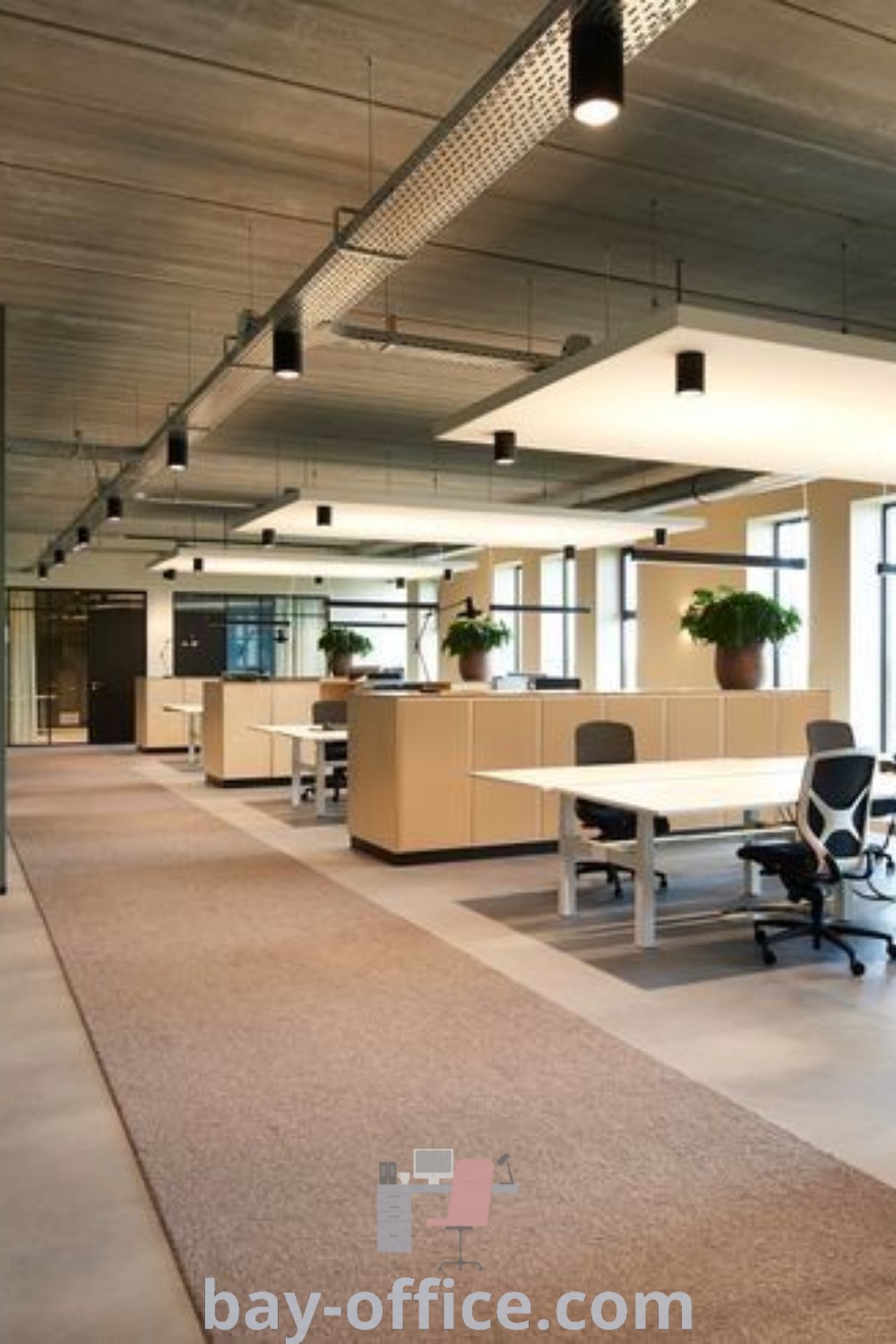 Modern open plan office design with glass walls, plants on desks, and Scandinavian style elements, promoting a nature-inspired and green office interior. Discover inspiring ideas that enhance productivity at bay-office.com.