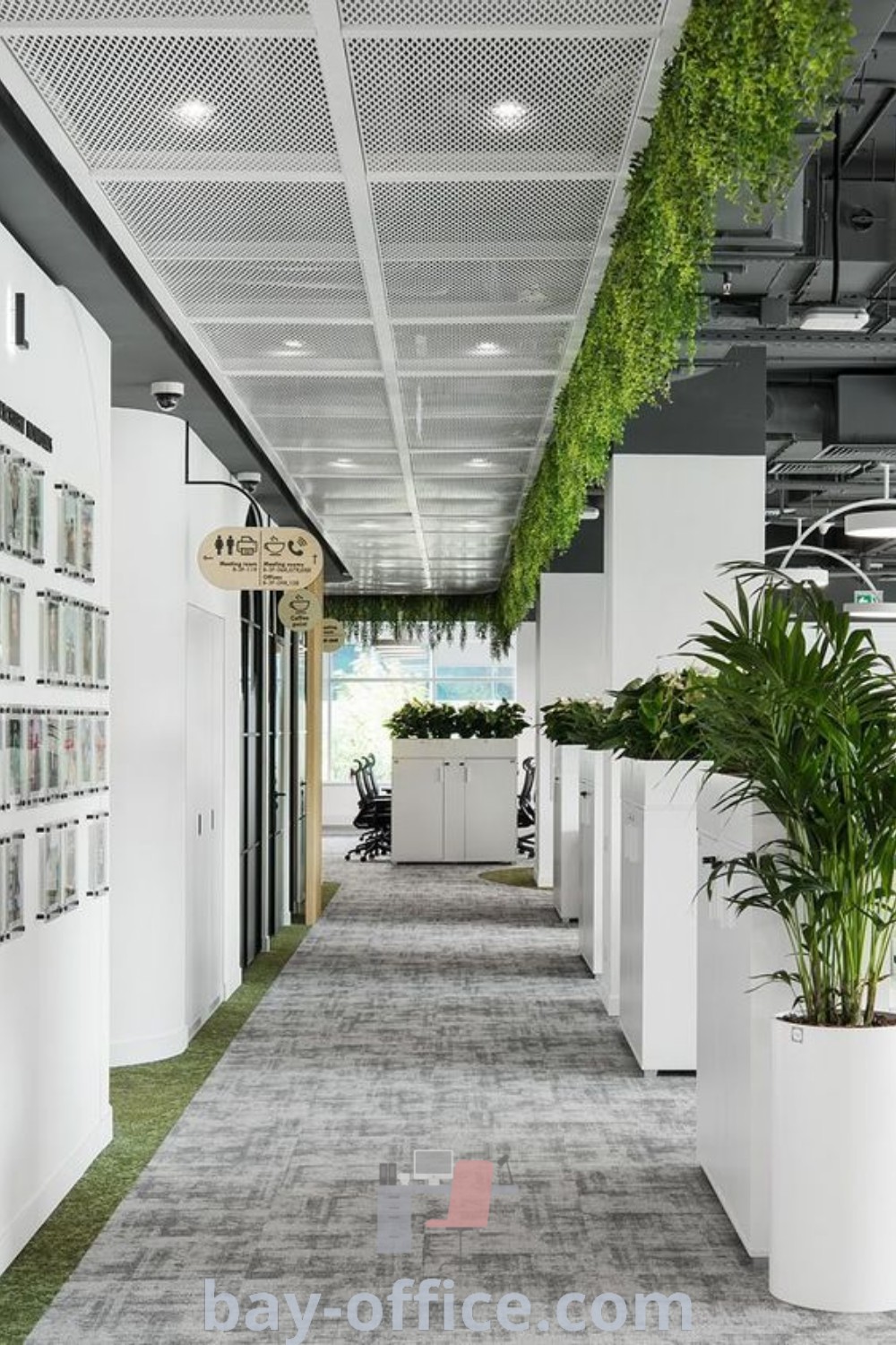 Office corridor featuring plants, pictures on walls, and hanging planters, showcasing business exterior design ideas for contemporary office aesthetics. Discover the best decor ideas for small spaces and inspiring office room design at bay-office.com.